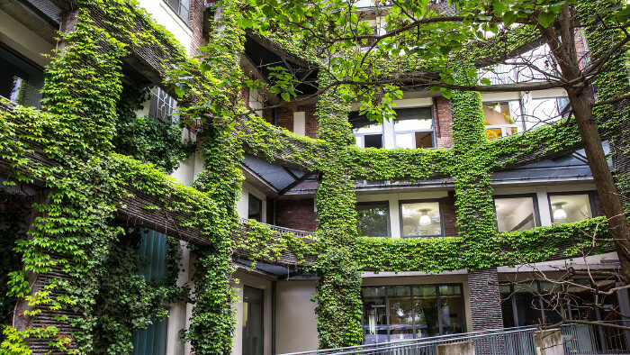 © Franz Pfluegl, stock.adobe.com Begrünter Innenhof mit Pflanzen